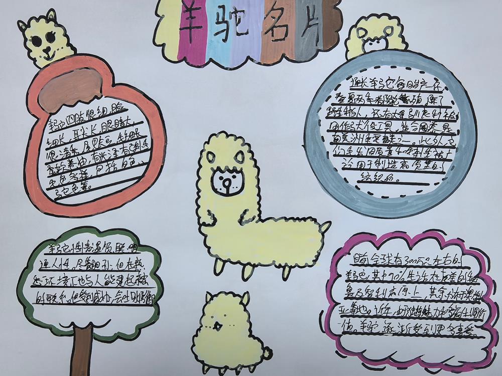 02678ddb7702479786ddb9454fb3bac0.jpg 02678ddb7702479786ddb9454fb3bac0.jpg