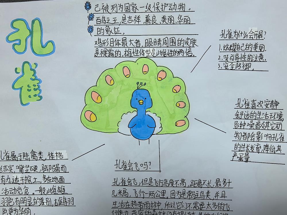 0afb036eae1844e683de5ce01ed924b4.jpg 0afb036eae1844e683de5ce01ed924b4.jpg