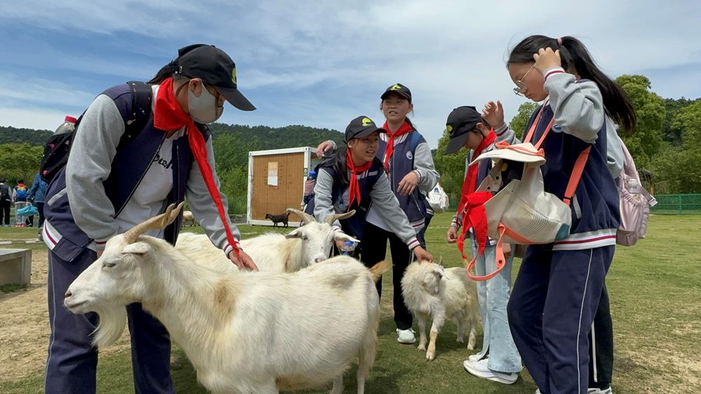 4e94ea7a90ad4f6db10bd8c8ebebc9ca.jpg 4e94ea7a90ad4f6db10bd8c8ebebc9ca.jpg