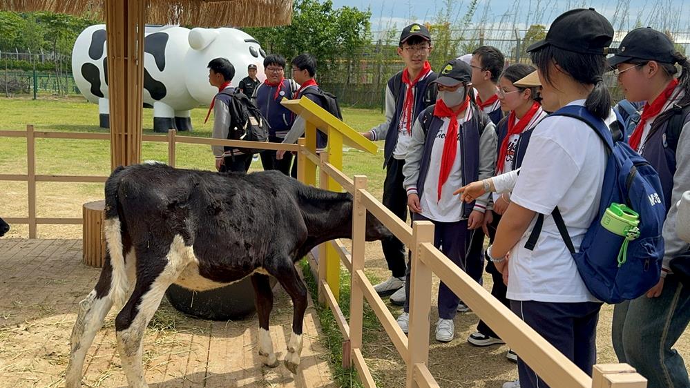 60a87ab9e3b24ceea70a804ed3ad8758.jpg 60a87ab9e3b24ceea70a804ed3ad8758.jpg